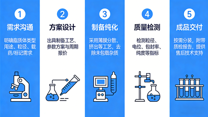 多类型脂质体定制服务方案-西安齐岳生物提供