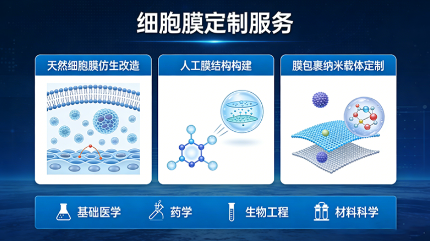 一站式细胞膜定制服务｜满足多样实验需求
