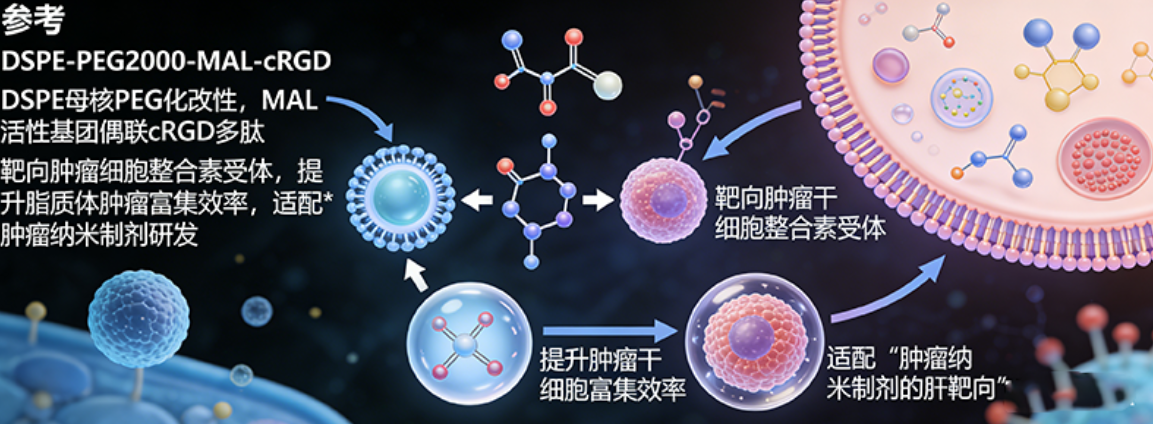 磷脂改性&偶联定制——西安齐岳生物专业解决方案