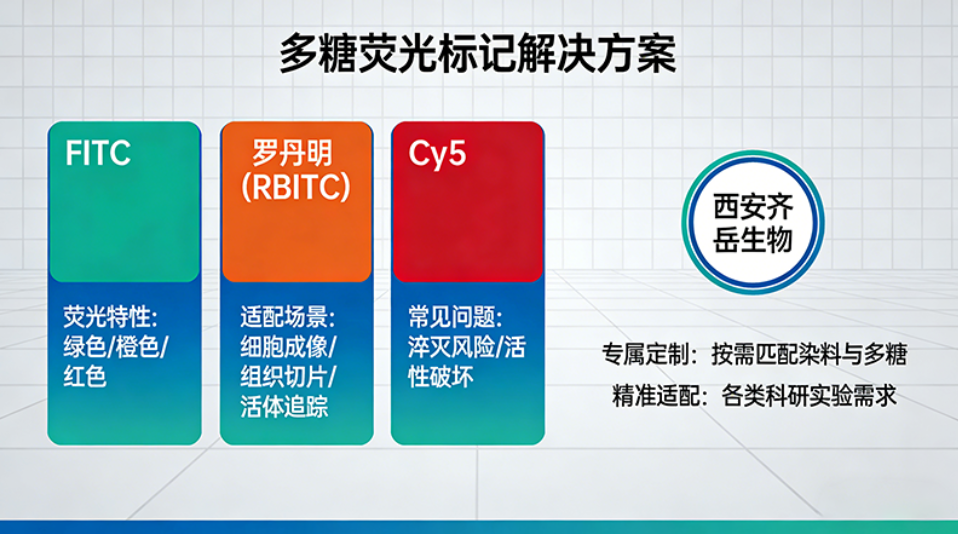 多糖荧光标记用哪种染料？FITC、Cy5、罗丹明参考建议