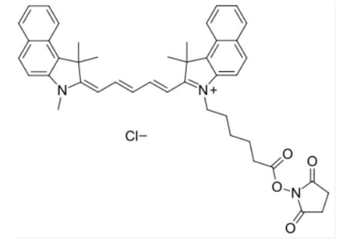 Cy5.5 NHS ester，Cy5.5 N-羟基琥珀酰亚胺酯，CAS:1469277-96-0 荧光染料的结构式