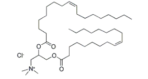 DOTAP|cas132172-61-3  |（2,3-二油氧基丙基)三甲基氯化铵