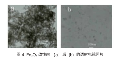 Dextran modified Fe3O4 nanoparticles(100nm)     葡聚糖修饰四氧化三铁纳米颗粒100nm