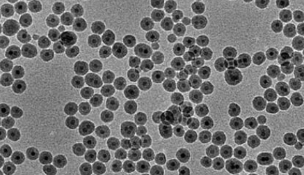 PAA @Fe3O4 nanoparticles(50nm）  聚丙烯酸修饰四氧化三铁纳米颗粒（50nm）