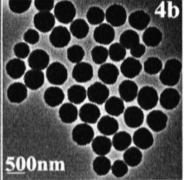 Dextran modified Fe3O4 nanoparticles(200nm)     葡聚糖修饰四氧化三铁纳米颗粒200nm