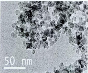 链霉亲和素修饰四氧化三铁（20nm）