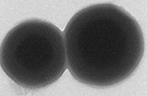 介孔二氧化硅包四氧化三铁纳米颗粒（200nm）