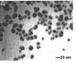 壳聚糖修饰四氧化三铁纳米颗粒（100nm）