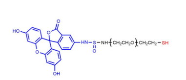 荧光素-聚乙二醇-巯基，FITC-PEG-SH，Fluoresein-PEG-Thiol，荧光素PEG巯基的结构式