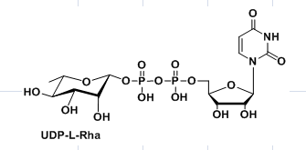 cas1955-26-6，UDP-L-Rhamnose