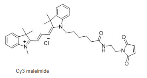 Cyanine3 maleimide