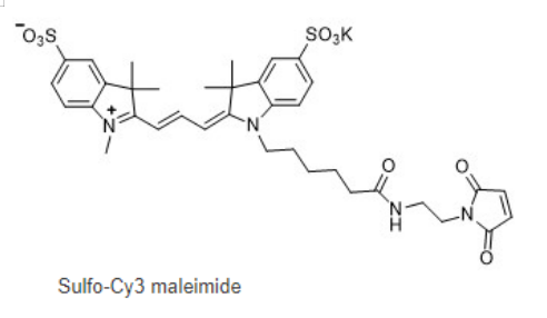 Sulfo-Cy3 maleimide