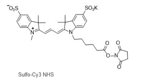 sulfo-Cy3-NHS