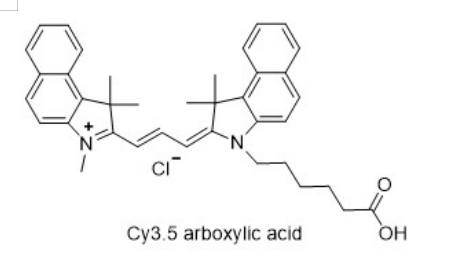 Cy3.5 carboxylic acid