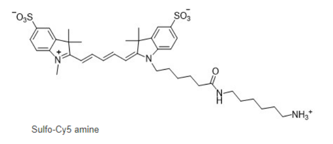 Sulfo-Cy5 amine