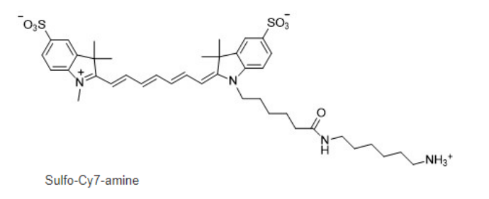 Sulfo-CY7-NH2