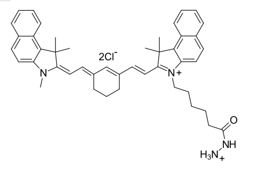 Cy7.5 hydrazide