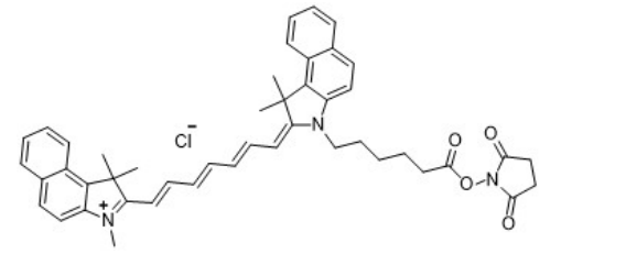 Cy7.5-NHS ester