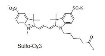 Sulfo-Cyanine3