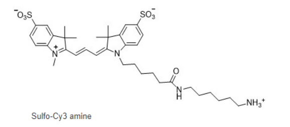 Sulfo-Cyanine3 amine