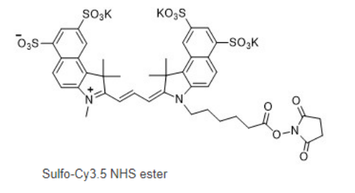 水溶性Cy3.5-NHS este
