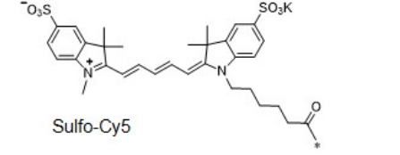 sulfo-Cyanine5