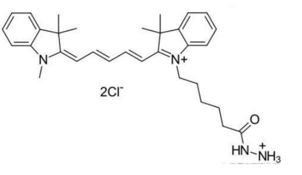 Cy5.5 hydrazide