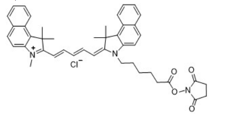 Cy5.5 NHS ester