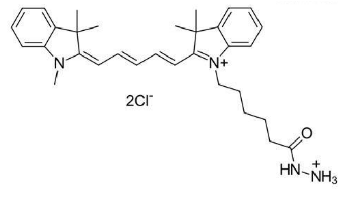 水溶性Cy5.5酰肼