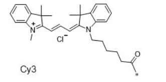 Cy3荧光染料