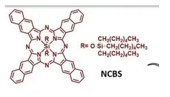 ncbs