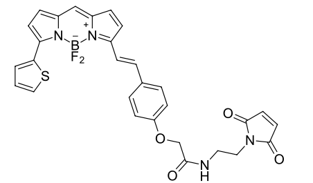 BDP 630/650 maleimide