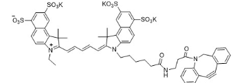 DBCO-Cy5.5