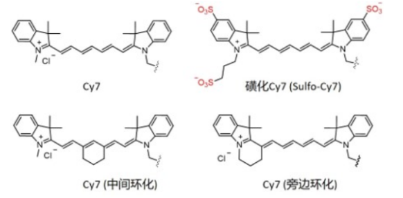 Cy7；CY7单体