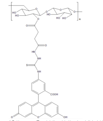 CY7-Dextran