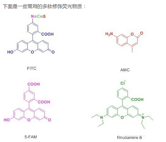 荧光标记多肽