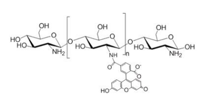 绿色荧光标记葡聚糖