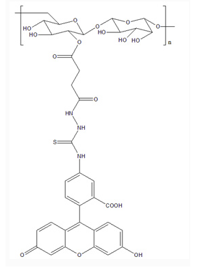 Dextran-FITC