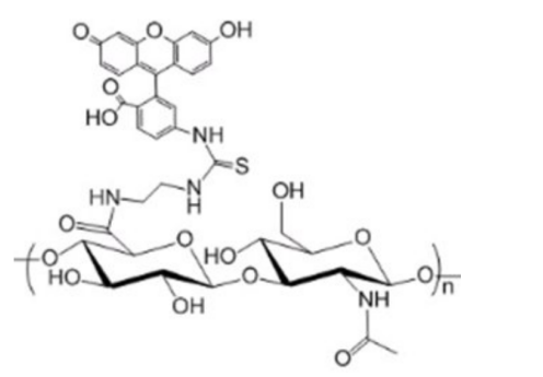 荧光标记透明质酸