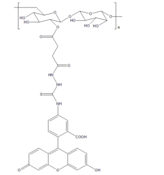 FiTC-葡聚糖